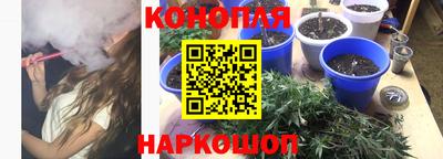 шишки Кинель