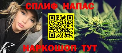 шишки Кинель