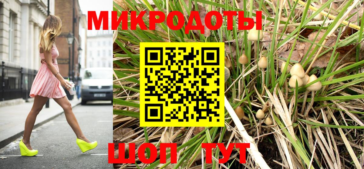 Псилоцибиновые грибы Psilocybe Арзамас
